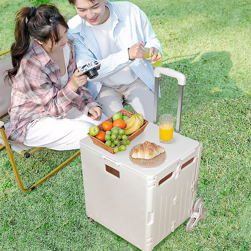 Lightweight Brushed Trolley Lu - Office Supply Cart avaliação e preço